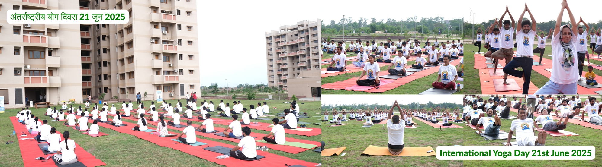 International Yoga Day